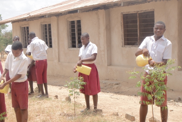 Students from Mwanda primary school giving water essential to get young trees growing at their school