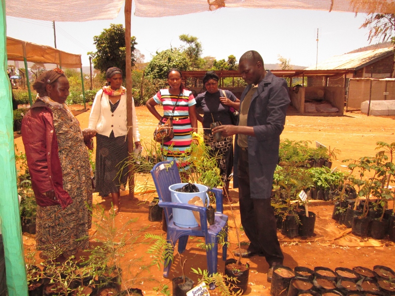 ICRAF participates in a farmers’ field day in Machakos, Kenya