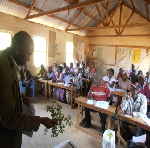 Dr. Itambo Malombe, a taxonomist from the National Museums of Kenya, at a training session on species identification at Kivani in Makueni community, Kenya training workshop