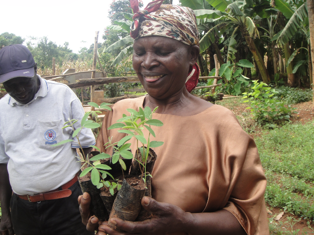 farmer2 receiving tephrosia