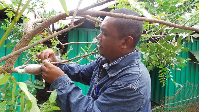 Participants were given opportunities to try many 'hands-on' activities such as grafting