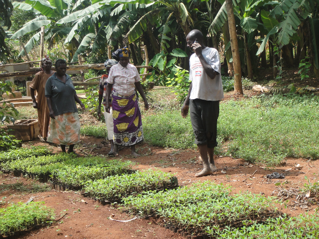 pesticidal plant nursery